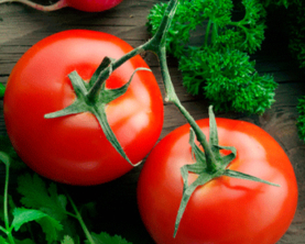 Помідор