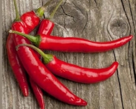 Перець чілі