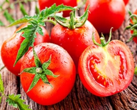 Помідор