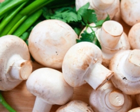 Гриби печериці