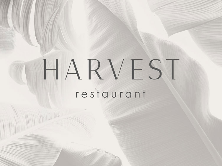 Harvest Restaurant: адрес, время работы, контакты