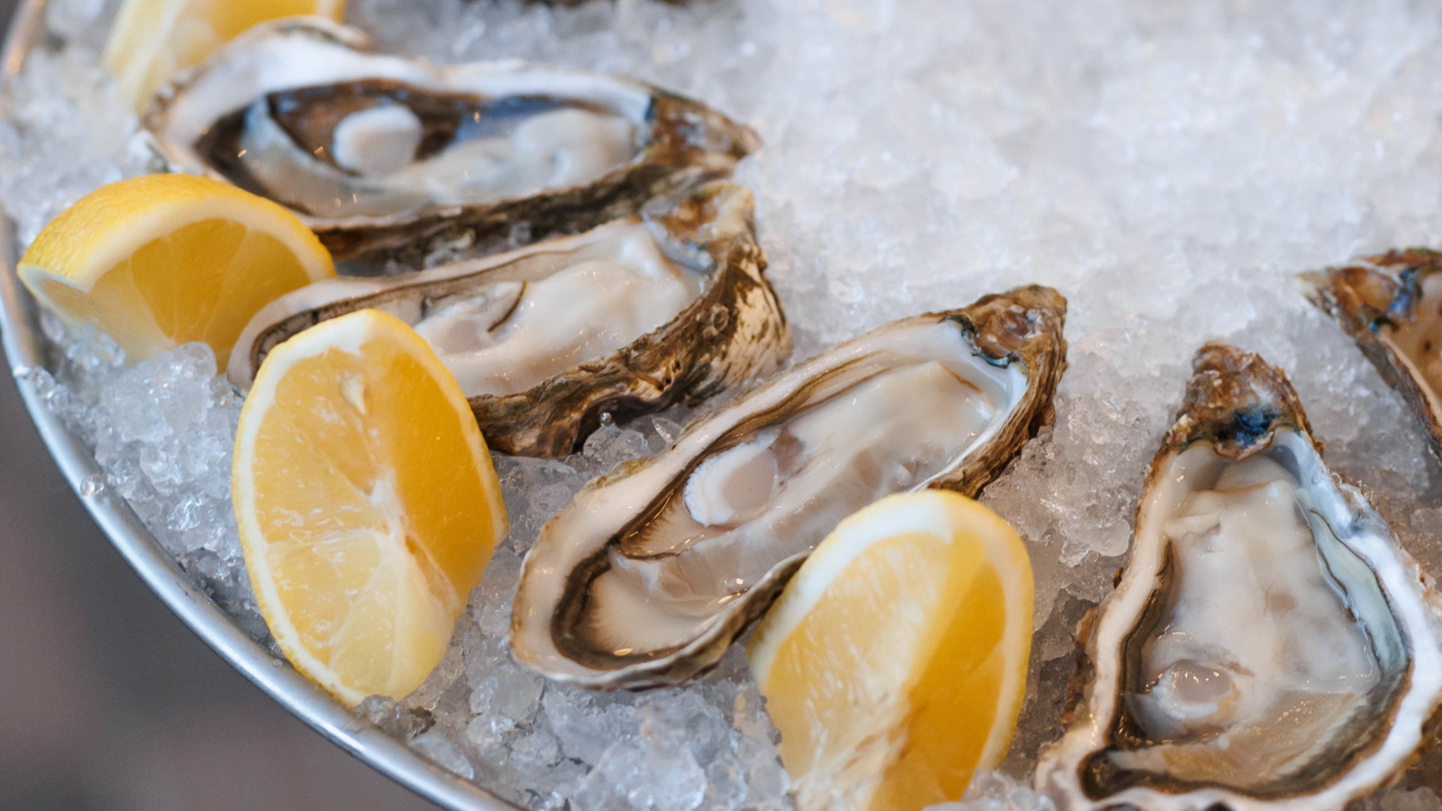 Ресторан River Grill у Києві: адреса, час роботи, контакти